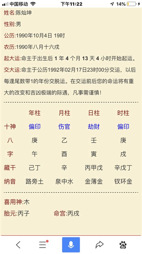 八字纳音五行解析|八字纳音